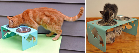 ������ ������ �� ������� ����