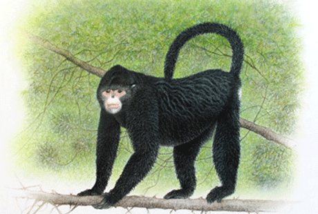 � ���� ����� �������� �������� �������