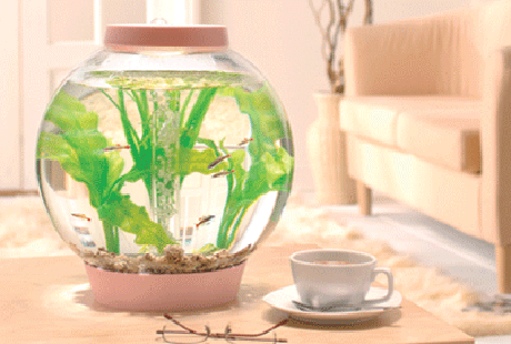 ����-������� � ���������