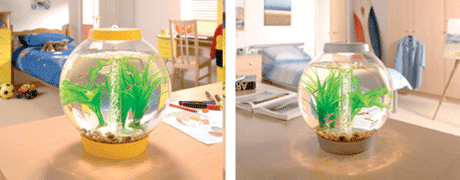 ����-������� � ���������