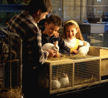 � ��������� ����� ��������� �������� ������