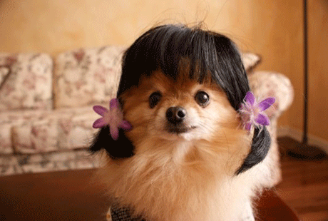 �������� ��� �����