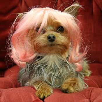 �������� ��� �����