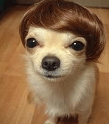 �������� ��� �����