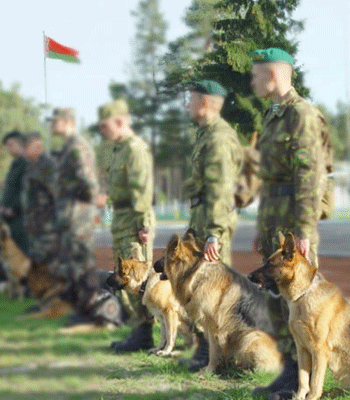 ������� ������� ����� �������� ��������