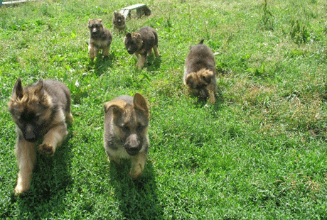 ������� ������� ����� �������� ��������