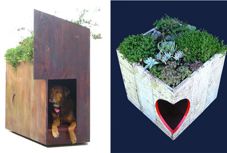 ��������� ������� �����������