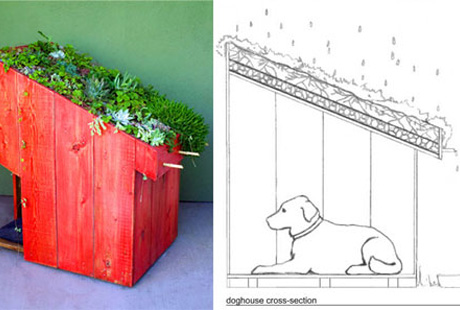 ��������� ������� �����������