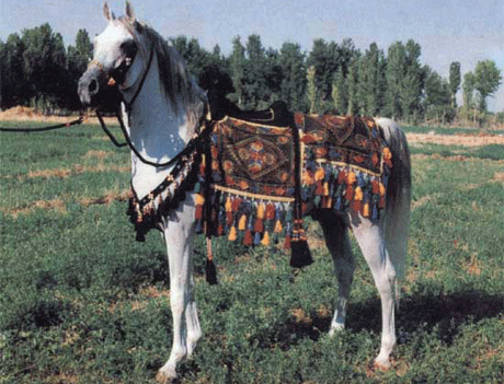 �������� ���� ��-�������