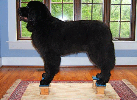 �������� ��� ���������� ����� � ���������