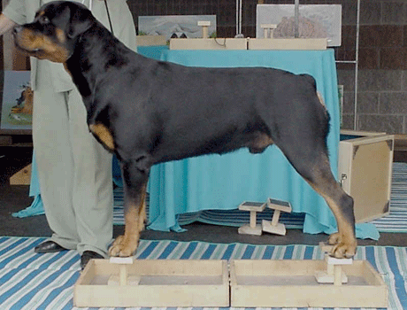 �������� ��� ���������� ����� � ���������