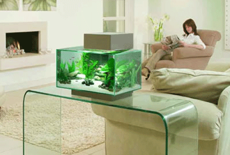 ���������� ������