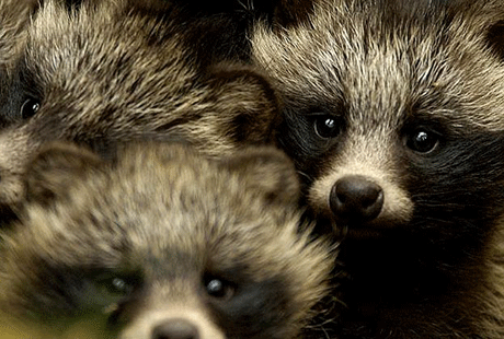 ������ ������� �� ������� �����