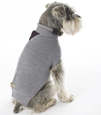 ��� �����