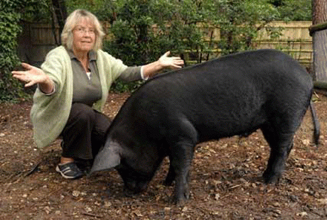 ��������� �������� �� ���������� � ����