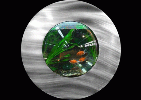 ��������-�������