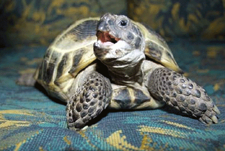 ��������� � �������� ���� ����� ������