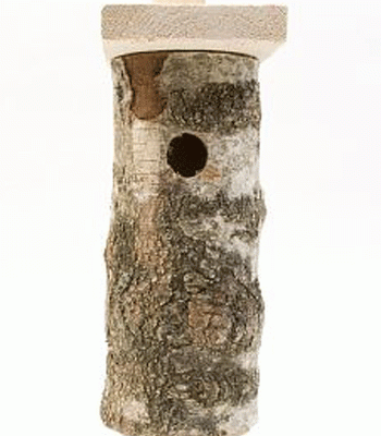 ����������� �� ������ � ������