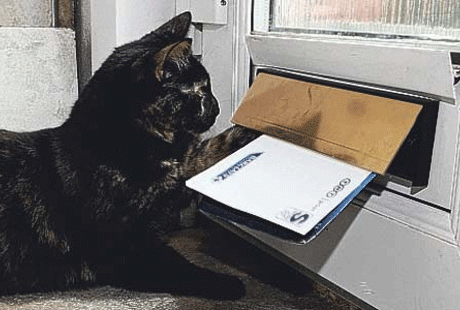 ���������� ����� ������ �� ����������