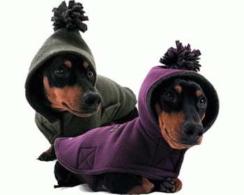 ������� ������� � Annie�s Sweatshop