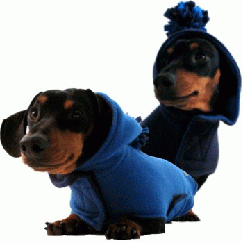 ������� ������� � Annie�s Sweatshop