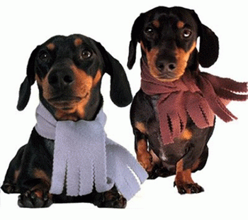 ������� ������� � Annie�s Sweatshop