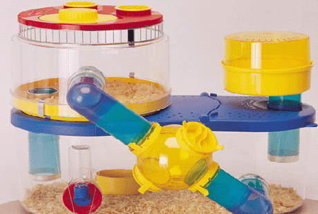 ���� ��� ������