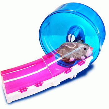 ���� ��� ������