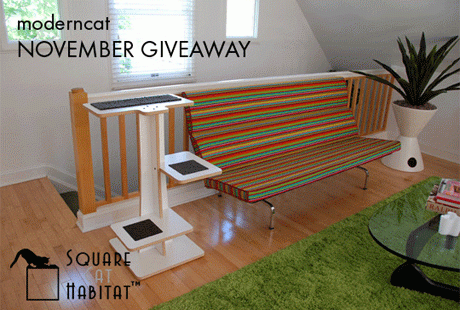 ������ � ����� ��������