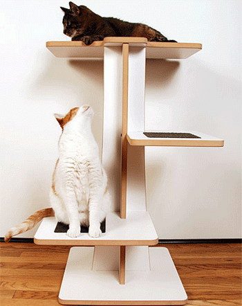 ������ � ����� ��������