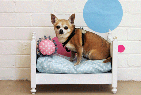 � ���������� ��������� ����� ��� ��������