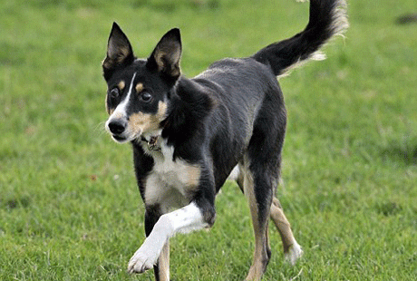 ������-������ ��������� ������