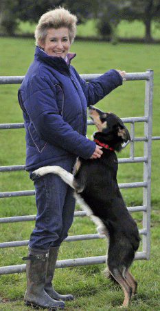 ������-������ ��������� ������