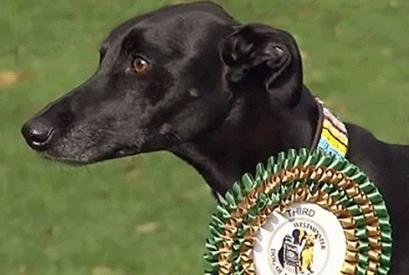 � �������������� ������ ������ ����� �����