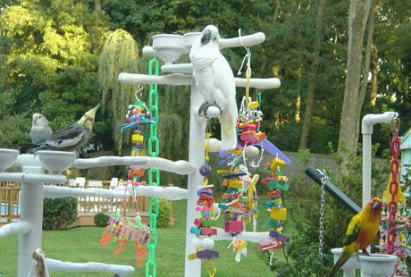 ������� �������� ��� ��������