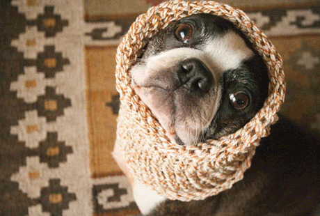 ������ � ���������