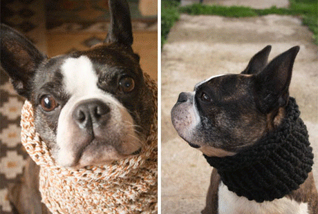 ������ � ���������