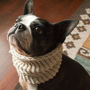 ������ � ���������