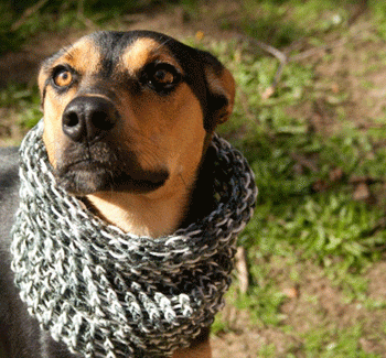 ������ � ���������