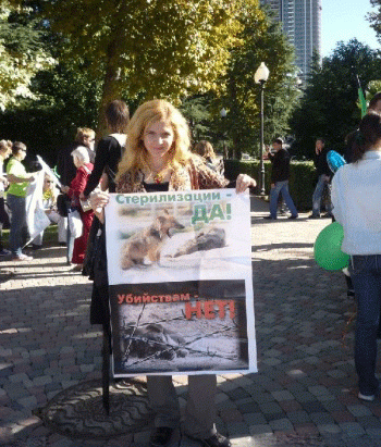 ���� ��������� �� ������������ ��������