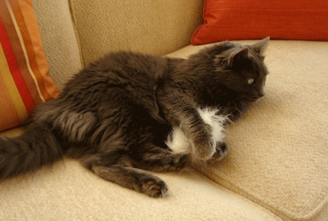 ������� �� Esty