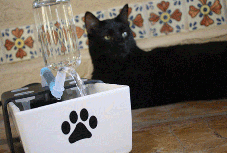 ������������� ������