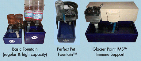 ������������� ������