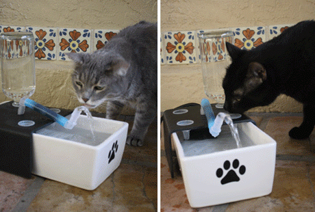 ������������� ������