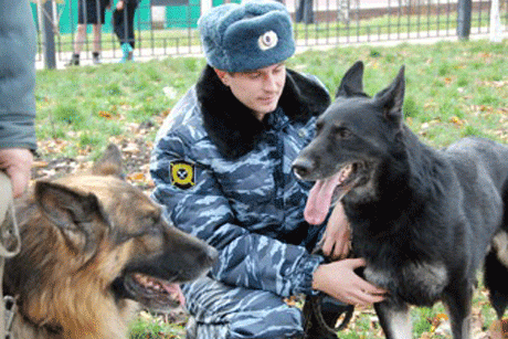 � ������ �������� �������� ��������