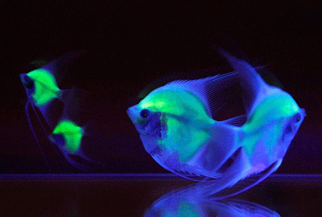 �� ������� ������ ����� ���������� �����