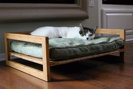 ���������� ���� ��� �����