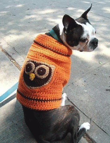 ��������� � ����������