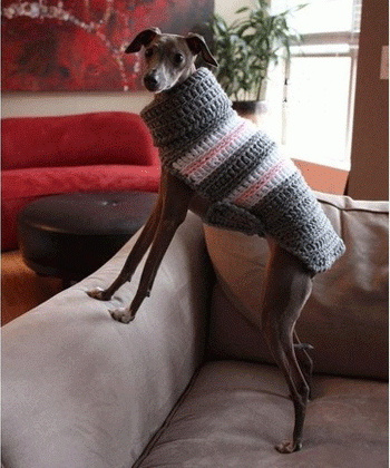 ��������� � ����������