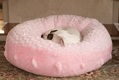 �������� ��� ����� � �����